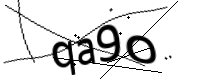 captcha_img