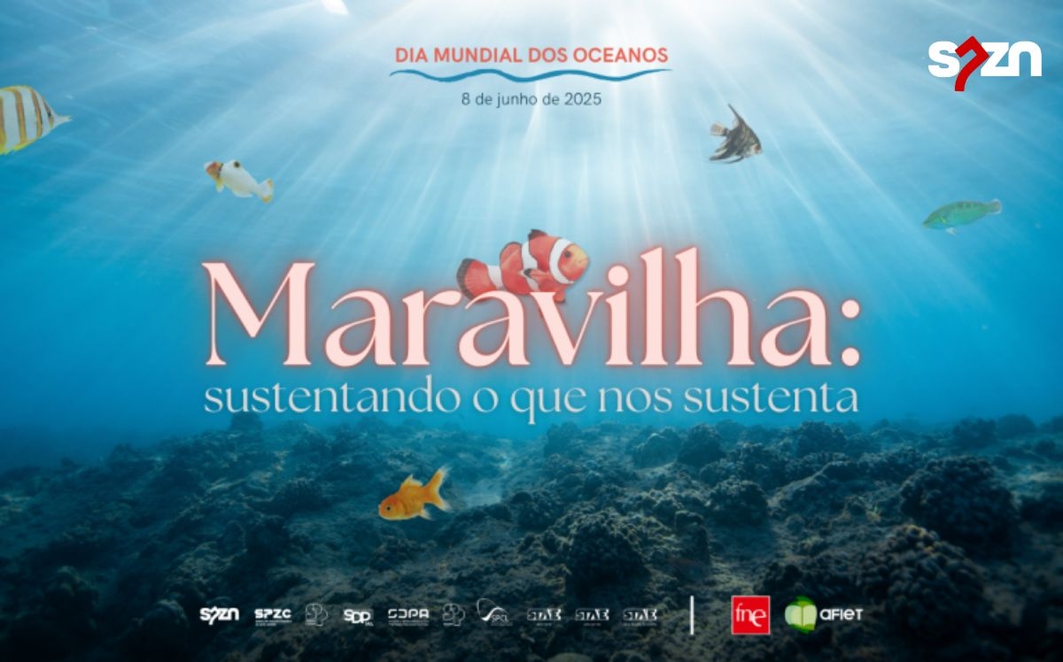Dia Mundial dos Oceanos 2025 - 