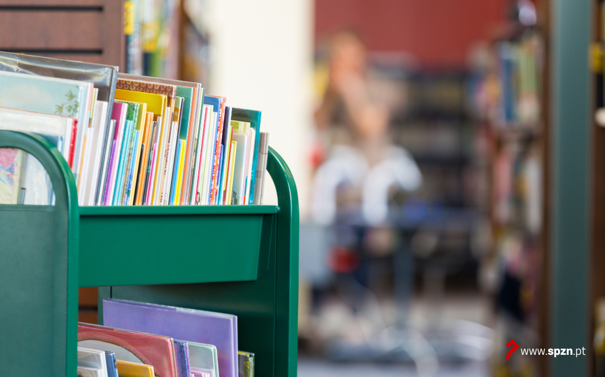 Professores Bibliotecários - Ano Escolar 2025/2026