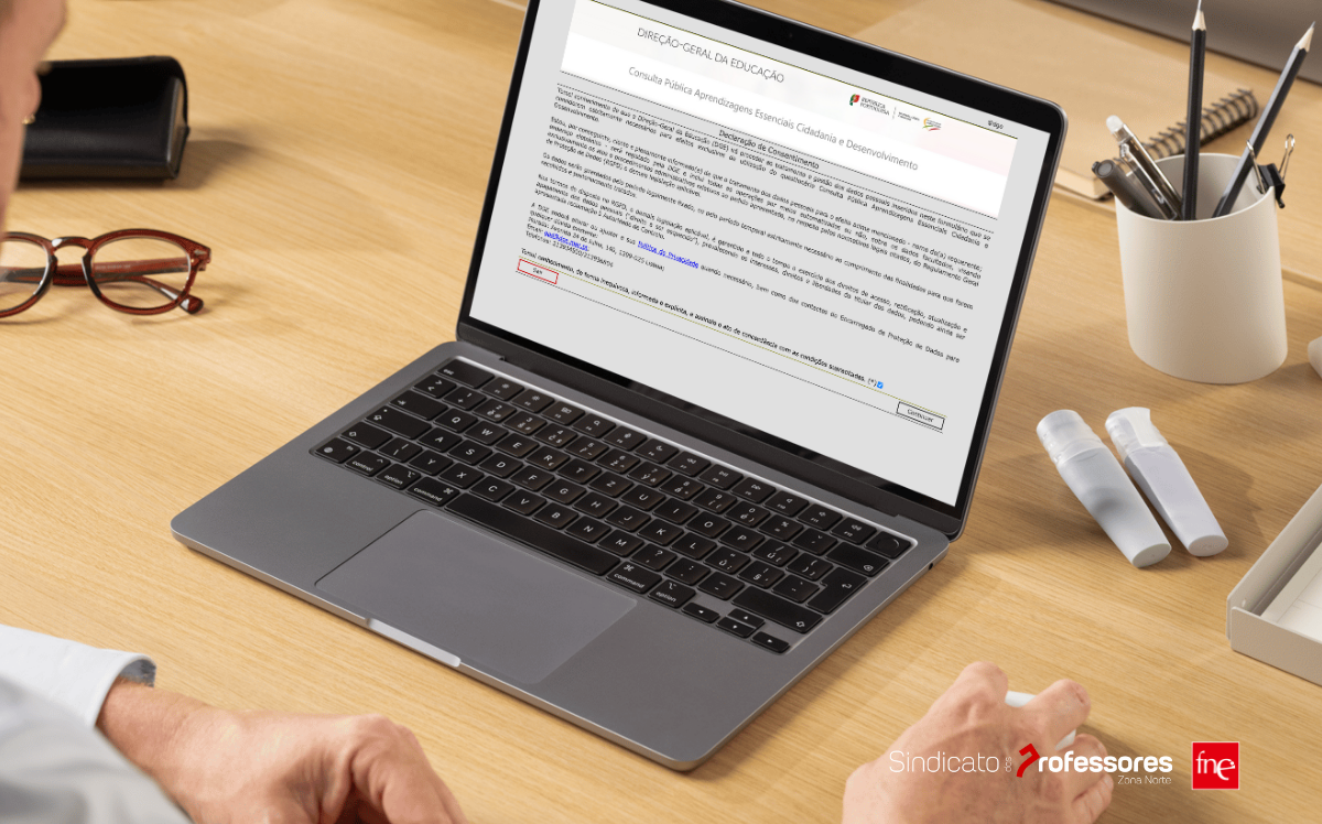 Consulta pública: Estratégia Nacional de Educação para a Cidadania e Aprendizagens Essenciais de Cidadania e Desenvolvimento