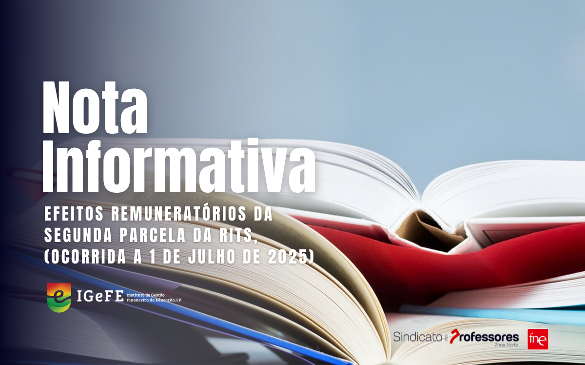 Nota Informativa n.º8 - IGeFE 2025