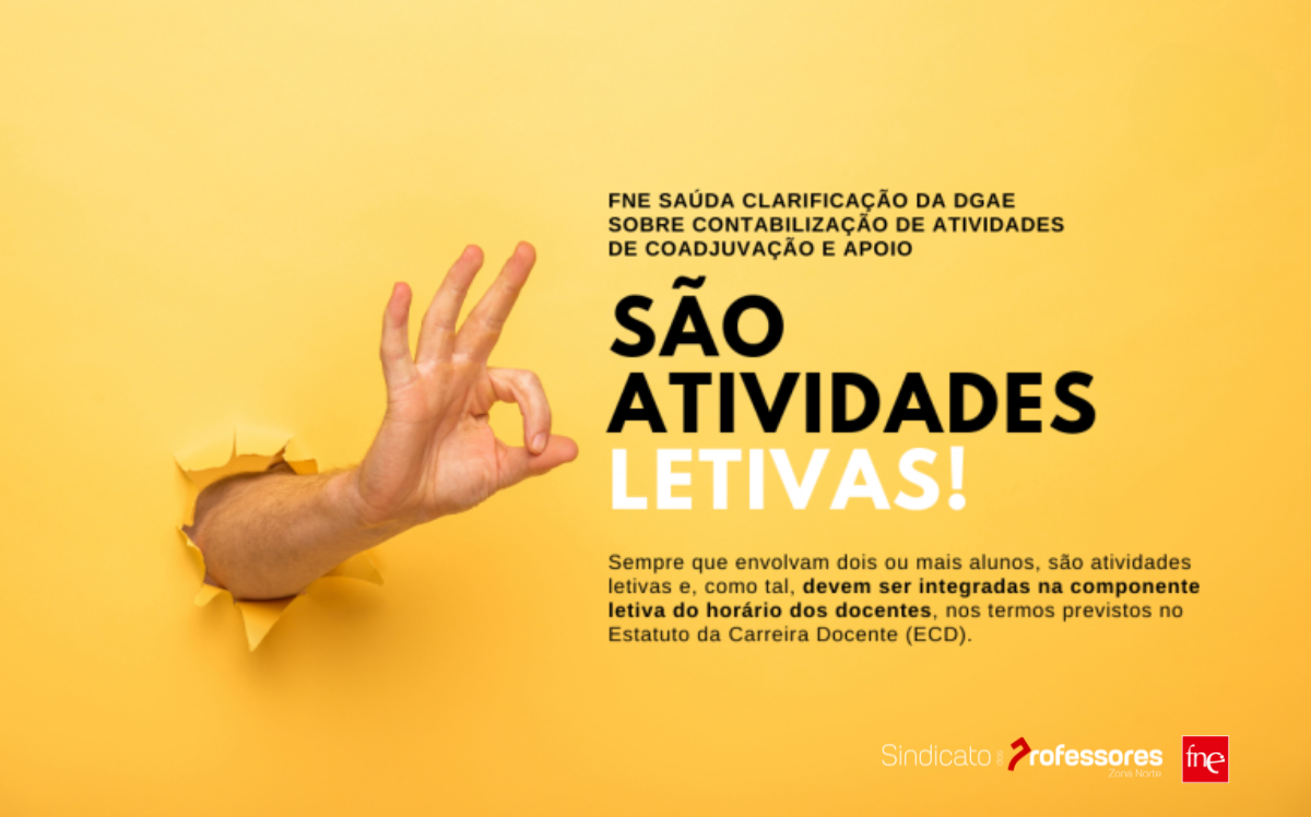 FNE saúda clarificação da DGAE sobre contabilização de atividades de coadjuvação e apoio a grupos de alunos