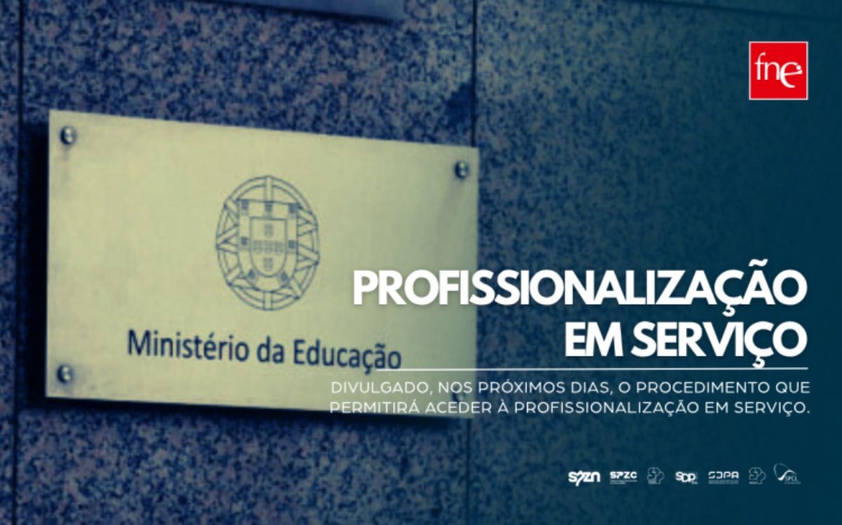 Profissionalização em serviço